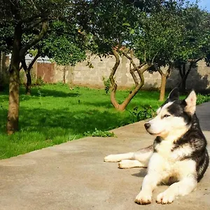 Mia - Entire With Balcony & Garden Divjake